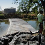 Natomas Main Drainage Canal – Sacramento, CA 2004