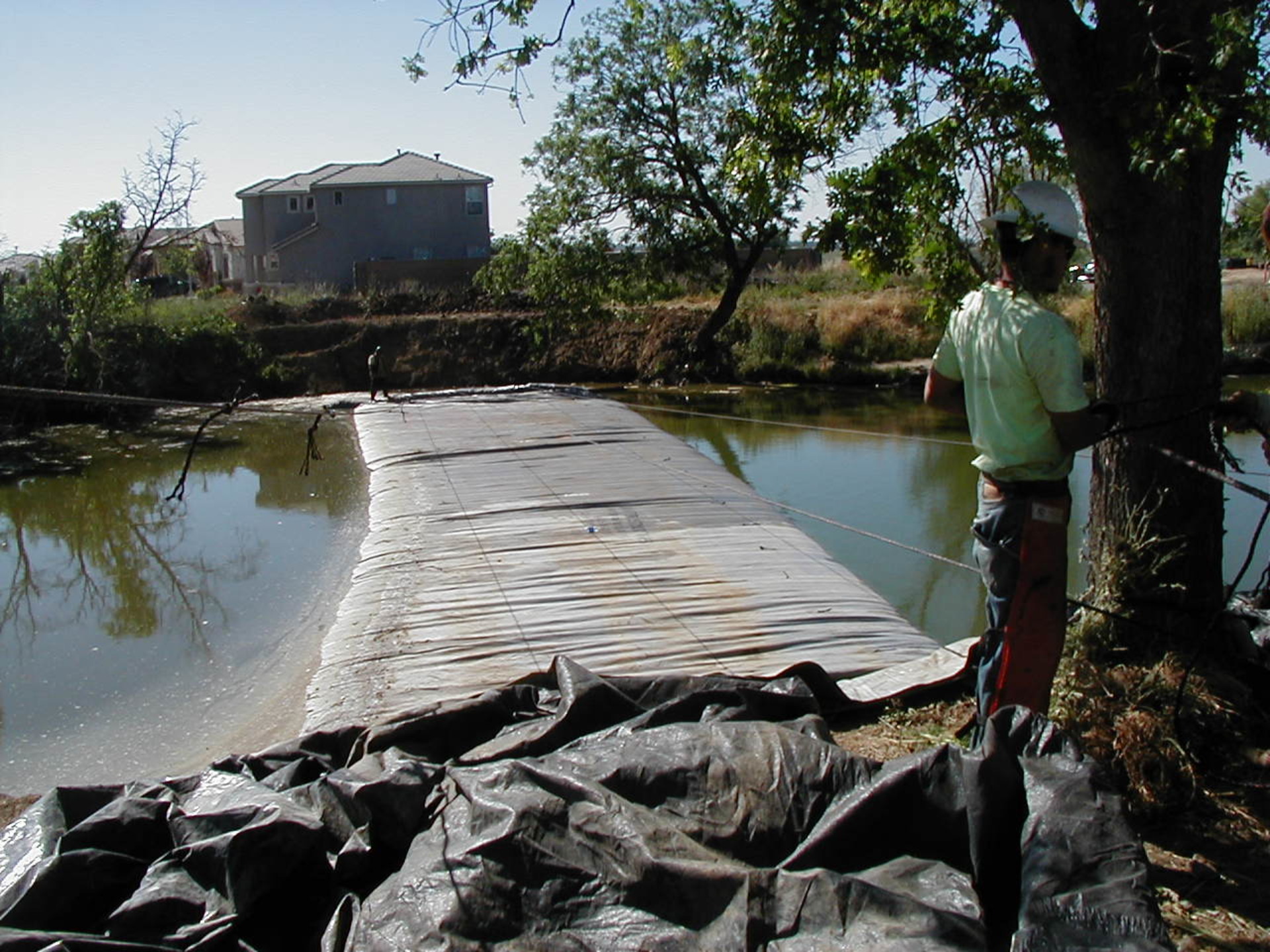 Natomas Main Drainage Canal – Sacramento, CA 2004