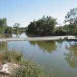 Natomas Main Drainage Canal – Sacramento, CA 2004