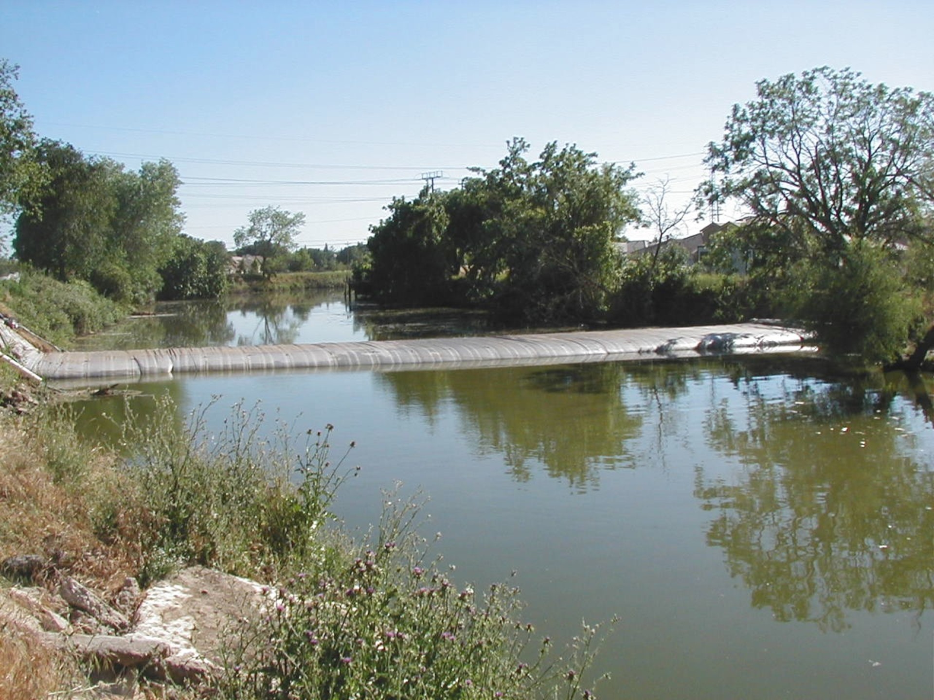 Natomas Main Drainage Canal – Sacramento, CA 2004