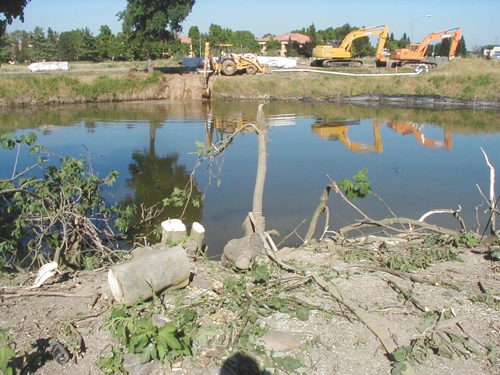 Natomas Main Drainage Canal – Sacramento, CA 2004