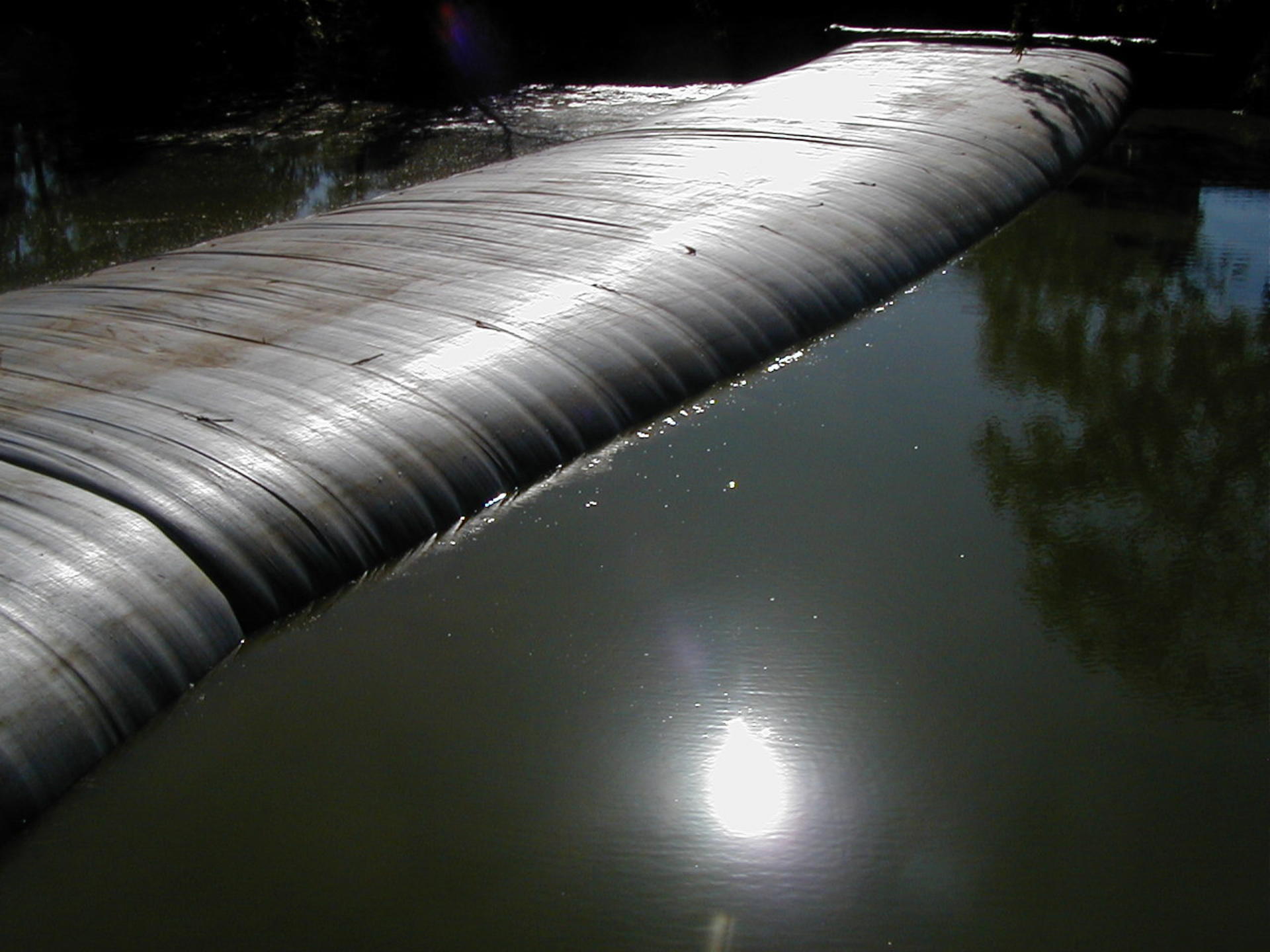 Natomas Main Drainage Canal – Sacramento, CA 2004