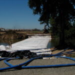 Natomas Main Drainage Canal – Sacramento, CA 2004