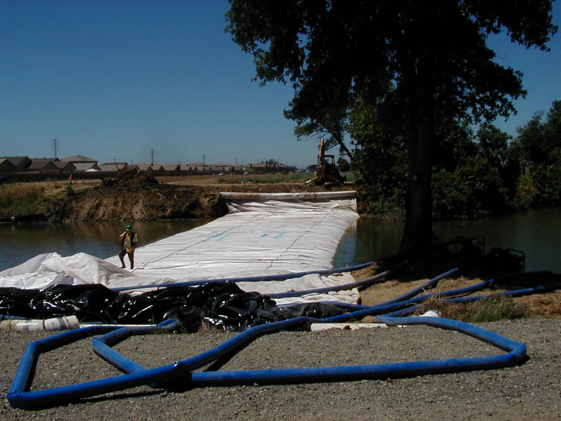 Natomas Main Drainage Canal – Sacramento, CA 2004