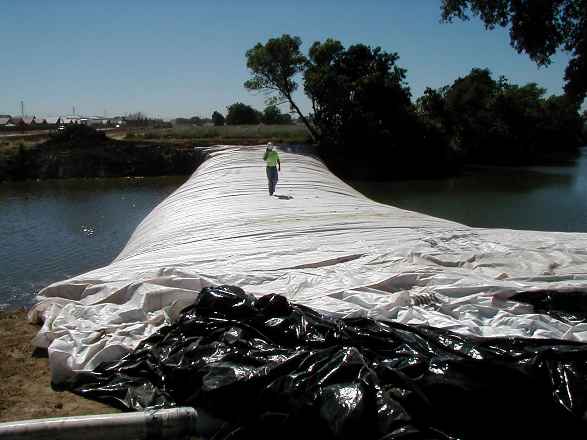 Natomas Main Drainage Canal – Sacramento, CA 2004