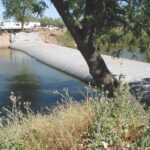 Natomas Main Drainage Canal – Sacramento, CA 2004