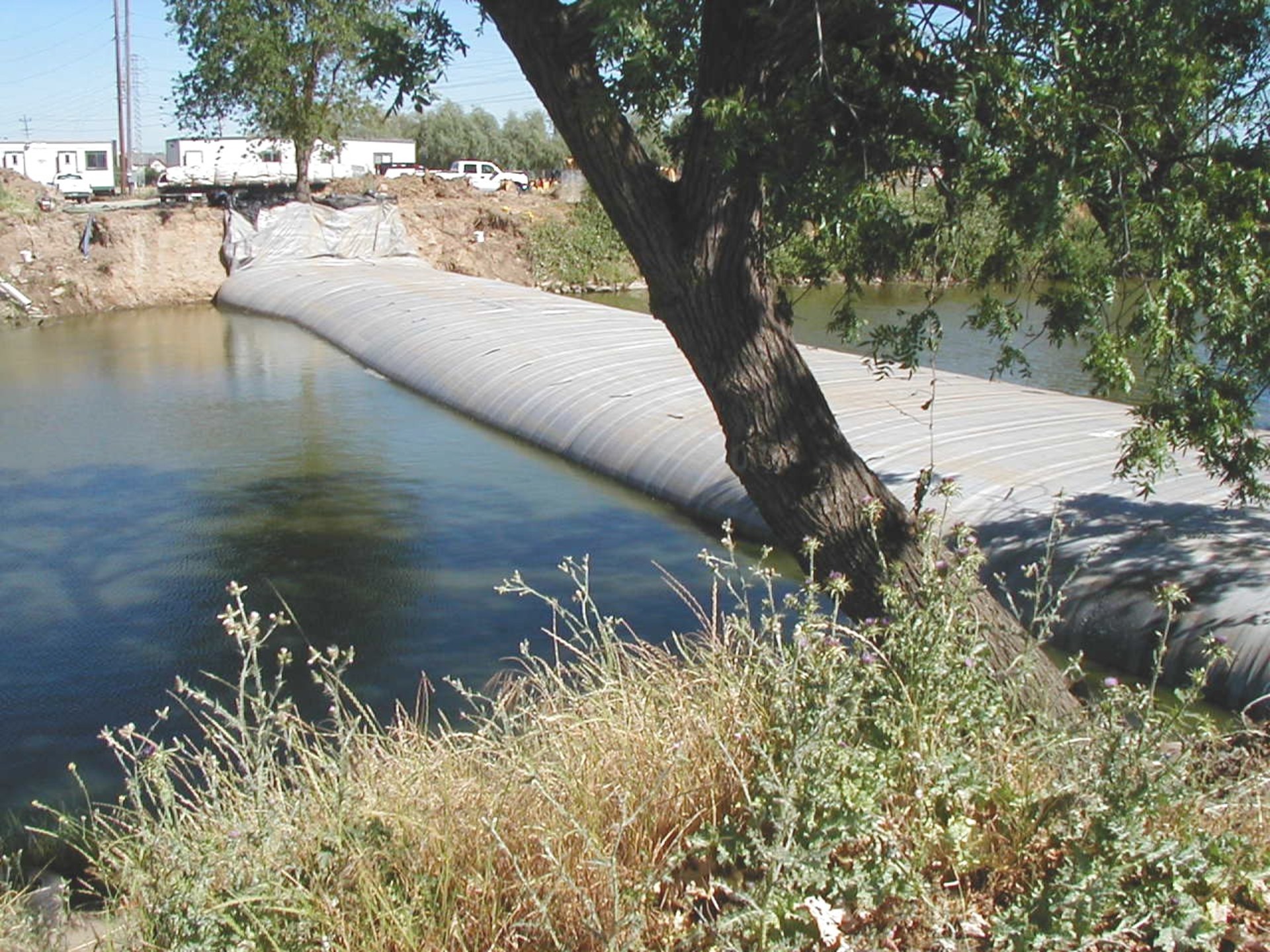 Natomas Main Drainage Canal – Sacramento, CA 2004