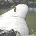 Natomas Main Drainage Canal – Sacramento, CA 2004