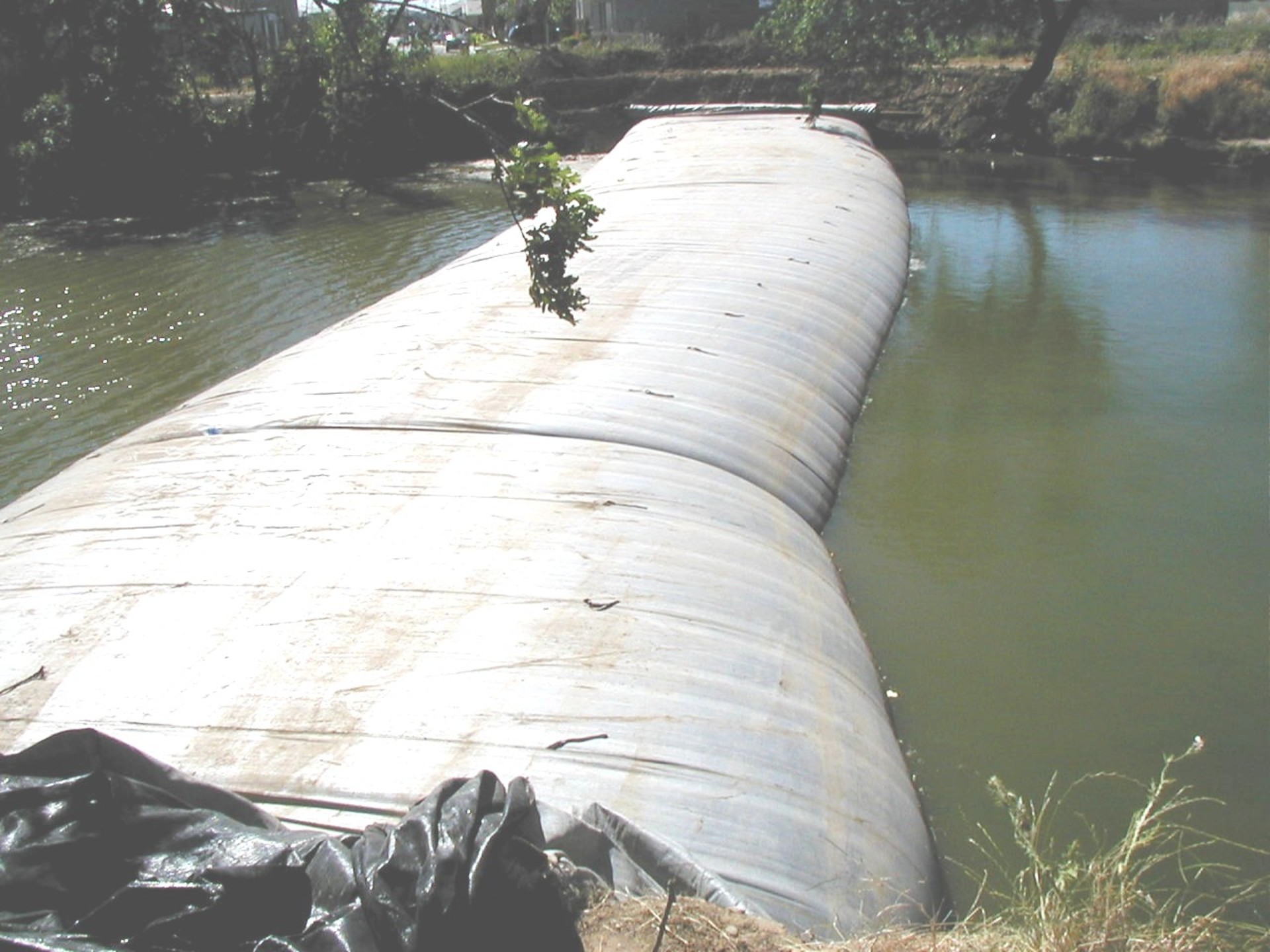 Natomas Main Drainage Canal – Sacramento, CA 2004