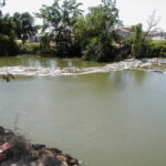 Natomas Main Drainage Canal – Sacramento, CA 2004