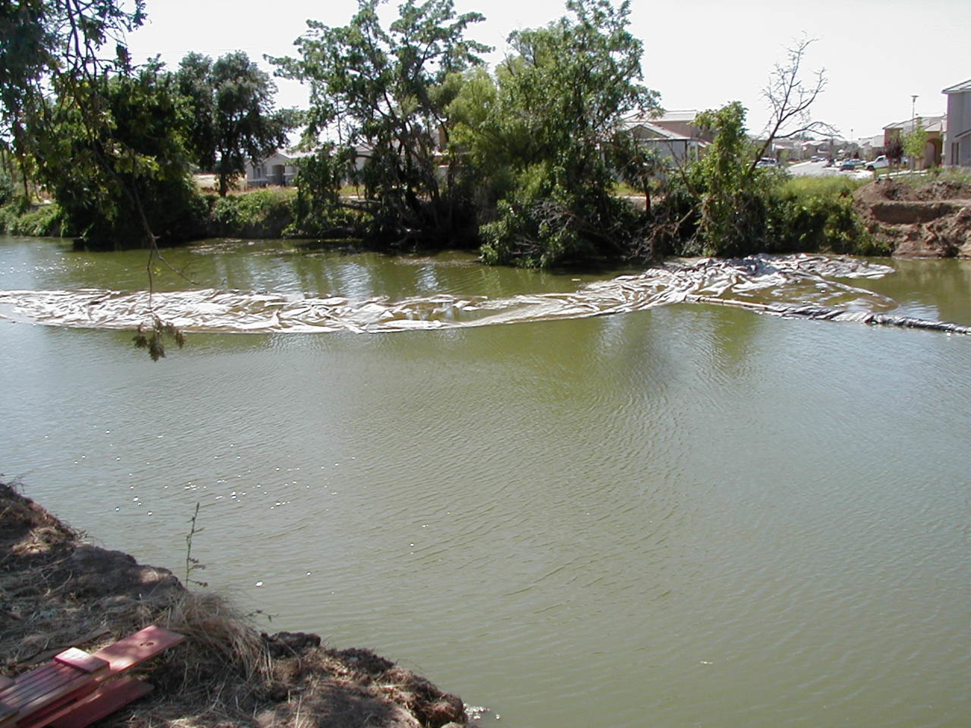 Natomas Main Drainage Canal – Sacramento, CA 2004