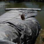 Natomas Main Drainage Canal – Sacramento, CA 2004