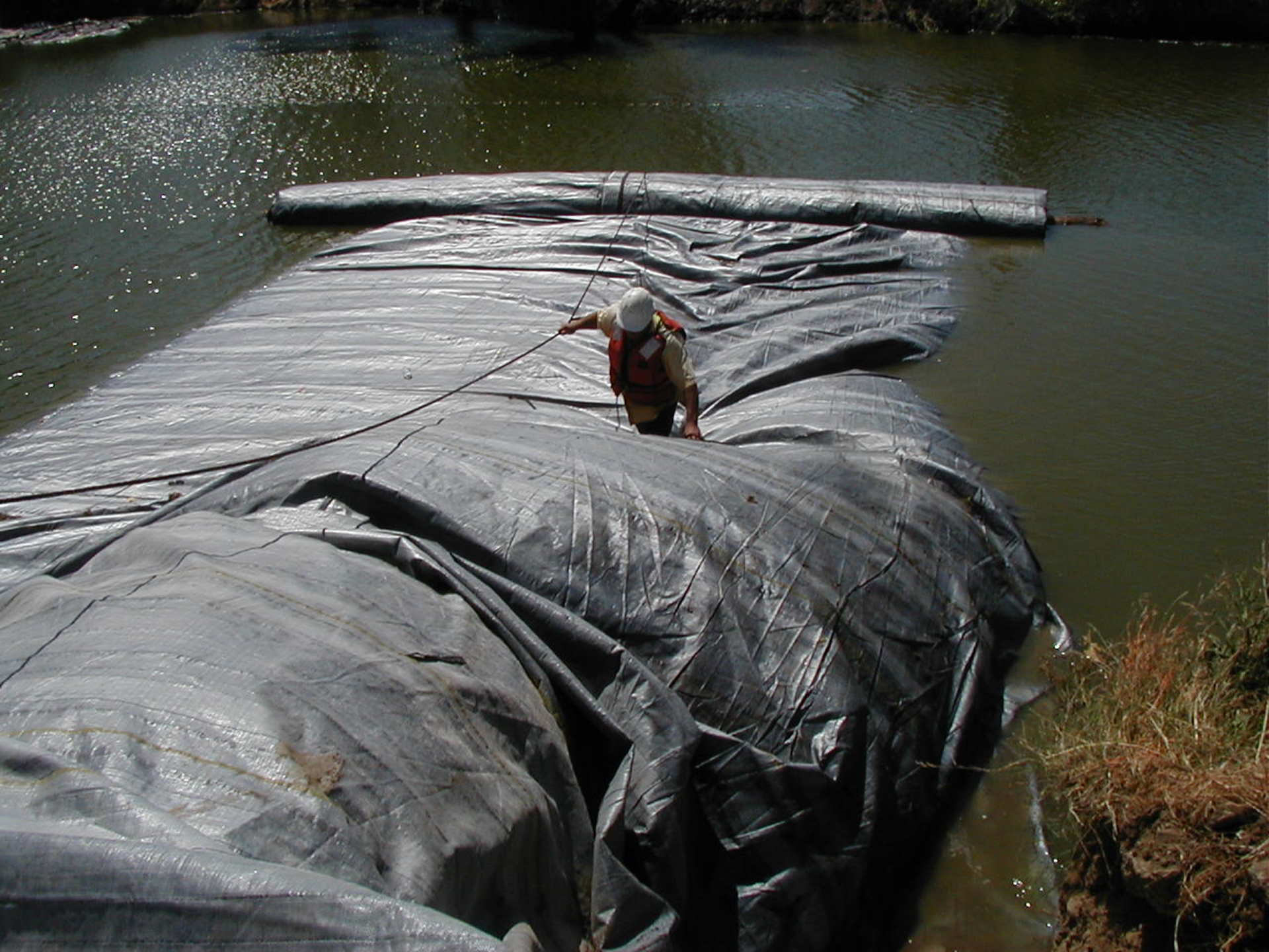 Natomas Main Drainage Canal – Sacramento, CA 2004