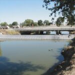 Natomas Main Drainage Canal – Sacramento, CA 2004