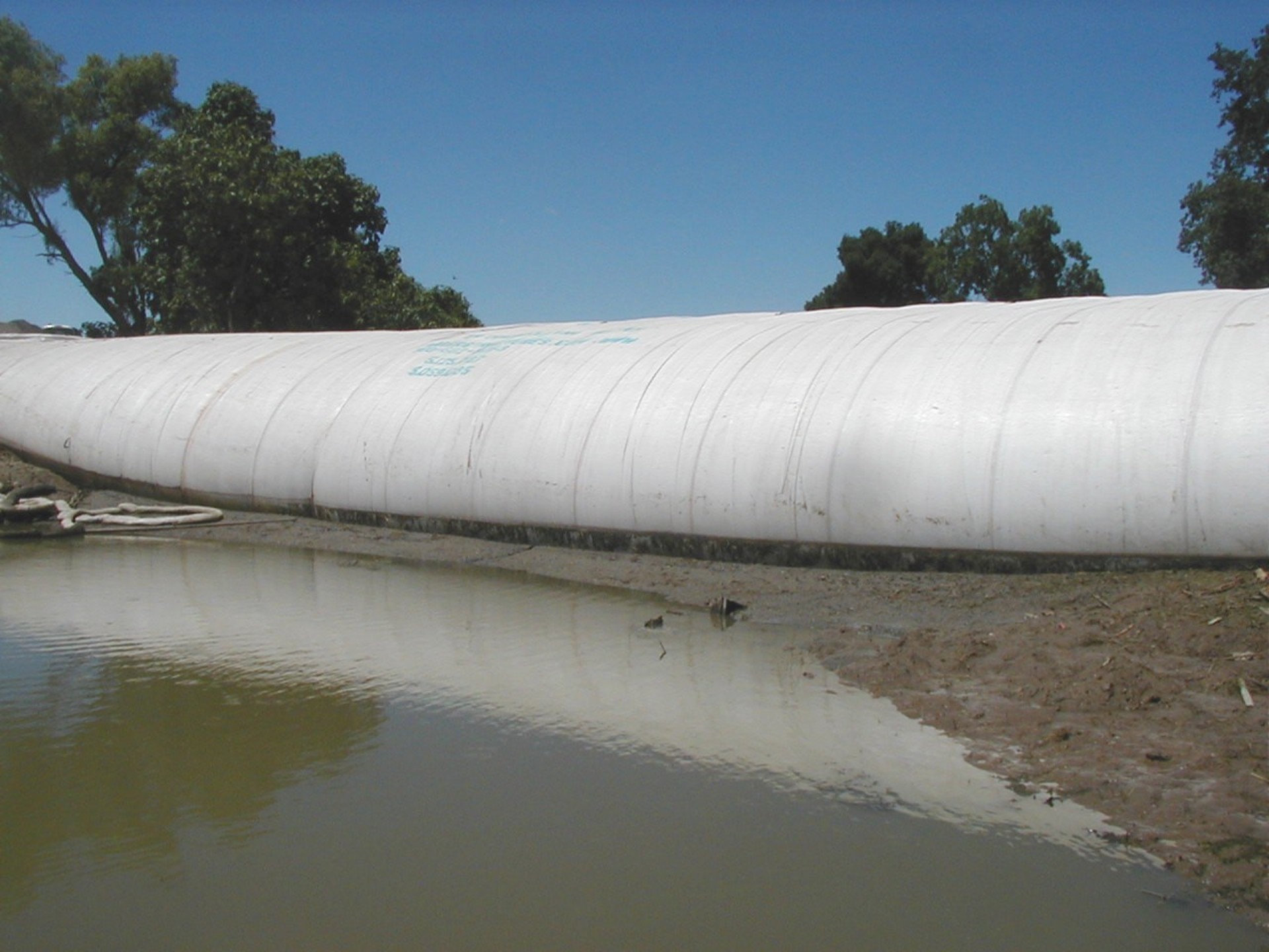 Natomas Main Drainage Canal – Sacramento, CA 2004